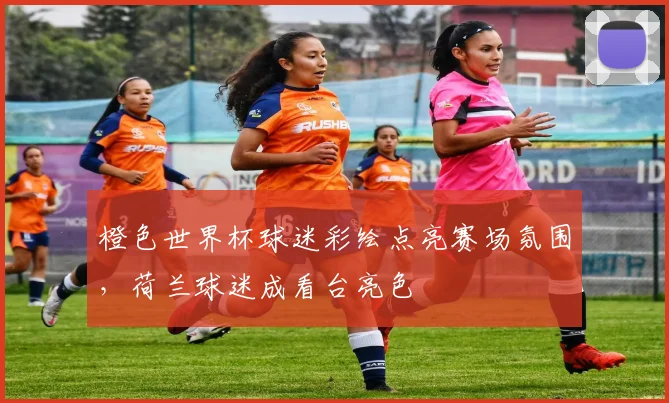橙色世界杯球迷彩绘点亮赛场氛围，荷兰球迷成看台亮色